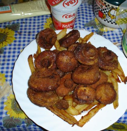 Rantott gomba 02
